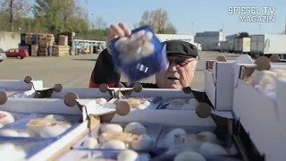 Essen ohne Geld: Die Food-Rebellen | SPIEGEL TV