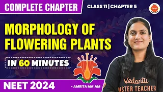 MORPHOLOGY OF FLOWERING PLANTS in 60 Minutes | Complete Chapter for NEET 2024/25 | Class 11 Biology