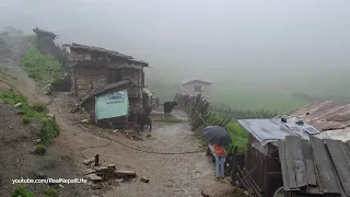 Nepali Mountain Village Life | Rainy Day in jiree Village | Very Relaxation Village Life | Real Life