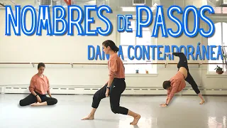 ¡NOMBRES DE PASOS Y POSICIONES DE DANZA CONTEMPORÁNEA! | Tips para Bailarines | GLOSARIO DE PASOS