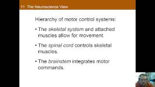 Chapter 11 Part A: Motor Control and Pasticity