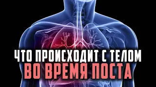 Что происходит с твоим телом во время поста!