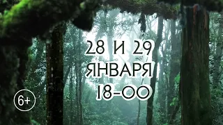 Хореографический спектакль «Тарзан» в Севастополе. Промо