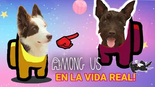 AMOUNG US en la VIDA REAL nuestras mejores partidas / Lana y Mel