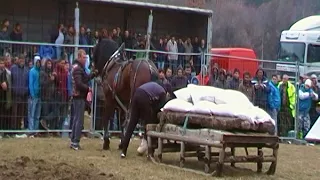 Конни състезания в Калугерово 2018г/Сираков тв/кл.4