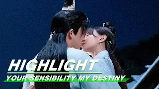 Highlight: Your Sensibility My Destiny | 公子倾城 | iQiyi