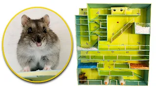 NEW Awesome Hamster Maze with TRAPS 😱{Obstacle Course}😱