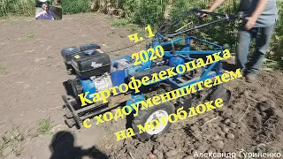 Картофелекопалка в работе с Ходоуменшителем Ветерок у 2020