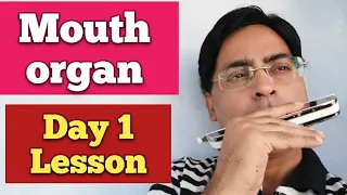 Mouth organ Day 1 lesson/ Harmonica basic Day 1 tutorial/ Mouth organ first lesson/Harmonica lesson
