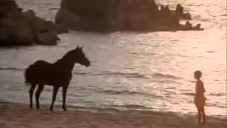 The Black Stallion 01