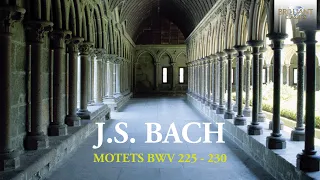 Bach: Motets, BWV 225 – 230