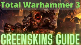 Greenskins In Depth Guide! TW3 Immortal Empires