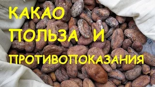 Какао. Польза и вред.