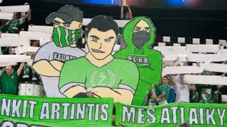 Kauno Žalgiris fans (Green White Boys)