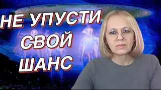 НЕ УПУСТИ СВОЙ ШАНС | Навейя