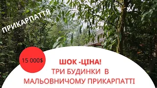 Ціна неймовірна! Будинок в мальовничому місці Прикарпаття!