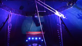 alexander lichner circus royal seson  2015