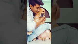 hug with dog😍 | cute | viral | petlover | #shorts | anant rastogi