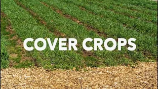 How Not to Cover Crop