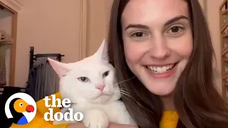 Woman Buys House And Finds Out It Comes With 4 Cats | The Dodo