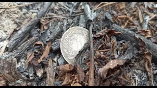 ПРОСТО КРАСОТА!!!КОП ПО ВОЙНЕ!!!WW2 METAL DETECTING