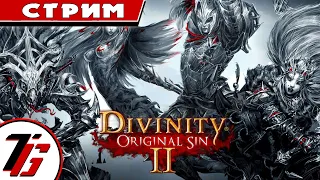 Divinity: Original Sin 2:  Definitive Edition. #8