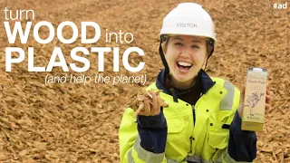 How to make plastic from trees (and not fossil fuels)    #TeamTrees