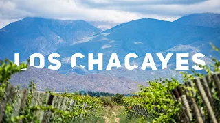 Los Chacayes, Uco Valley: The wines of Argentina with Amanda Barnes' South America Wine Guide