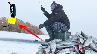 ЭТА БЕЗМОТЫЛКА ТВОРИТ ЧУДЕСА!!! - ЗИМНЯЯ РЫБАЛКА - Плотва на сырный кубик