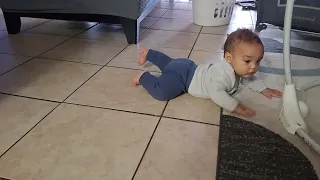 7 months old baby crawling