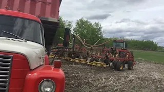 Seeding 2024