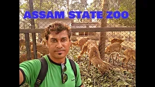 Assam State Zoo cum Botanical Garden Guwahati | North East India Tour