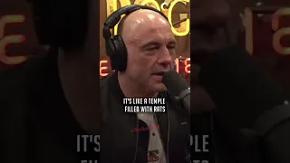 The Rat Temple of India - Joe Rogan