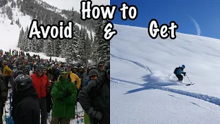 Alta vs Snowbird: things you may not know