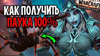 100% ШАНС! КАК ПОЛУЧИТЬ МАУНТА ПАУКА в WoW: Shadowlands / Свирепый боевой паук