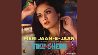 MERI JAAN-E-JAAN