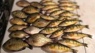 Ice fishing for Pan fish (Catch Clean Cook)