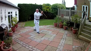 Takemusu Aikido  - 13 & 31 Jo Kata & 20 Jo Suburi