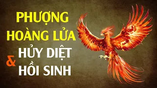 Phượng Hoàng Lửa xuất hiện ở VN: Loài chim Thần báo hiệu sự hủy diệt và hồi sinh - Duyên Vạn Cổ