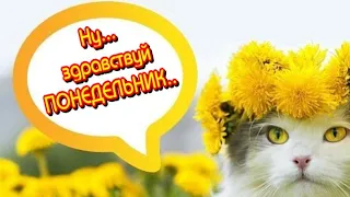 🌷 Доброе Утро😁Здравствуй Весенний ПОНЕДЕЛЬНИК🥰Удачного  Дня🎶Красивая музыкальная ОТКРЫТКА