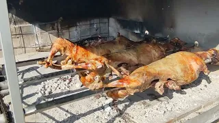 Bracka Janjetina na raznju - Lamb on spit