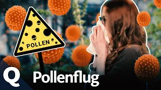 Weshalb Pollen nun länger und stärker fliegen | Quarks