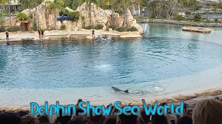Spectacular Dolphin Show at SeaWorld Gold Coast April 2023!