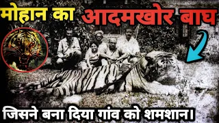 True Story of The Man Eating Tiger of Mohaan and Jim Corbett । Facts Phylum।