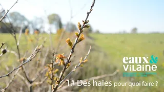 #1 - Des haies pour quoi fait? EPTB Eau et Vilaine