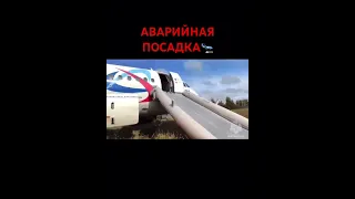 Самолет Сочи-Омск совершил аварийную посадку в поле в Новосибирской области.