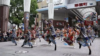 ほろろ一座　まちなかよさこい2024  二回目演舞　中央公園北口　5.26(日)  よさこい踊り