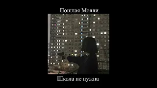 Пошлая Молли - Школа не нужна (slowed down + reverb//замедленно) ver. 2 || by @—акеми [мп3]