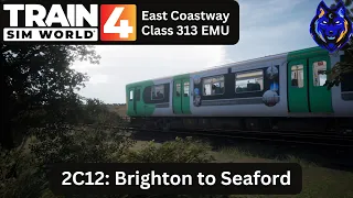 2C12: Driving a Class 313 from Brighton to Seaford.