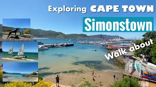 Exploring Cape Town - Simonstown walk about